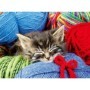 Ravensburger - Puzzle pentru varstnici pisicuta cu sablon de imagine si suport din carton 100 piese mari XL Ravensburger - 3